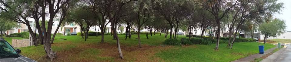 Panorámica del área verde arbolada frente a la casa