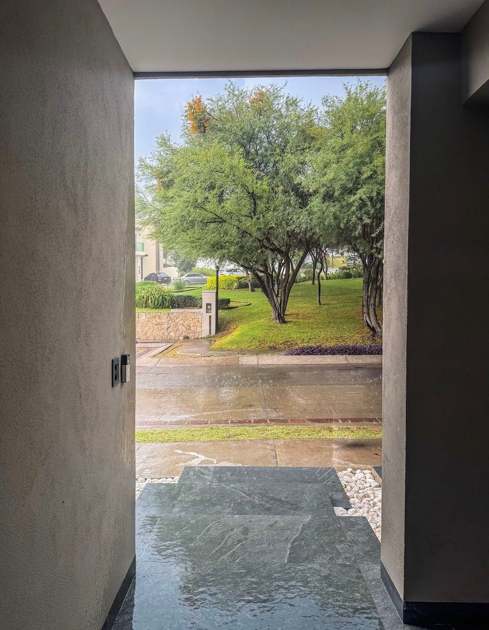 Vista del área verde arbolada desde la puerta principal de la casa